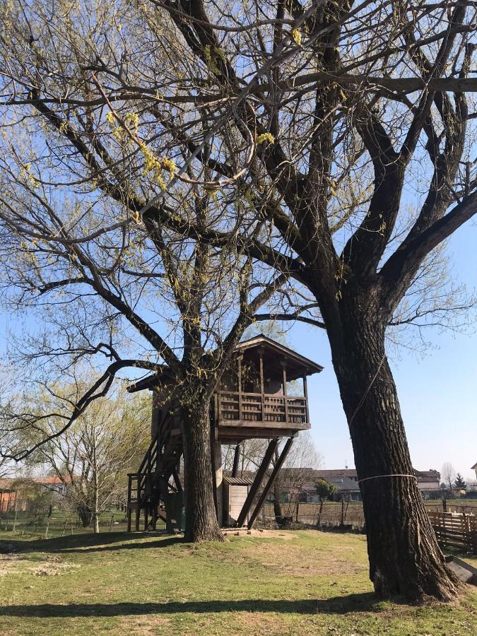 Villa La Casa Sull'Albero Oasi Certosa Di Pavia à Borgarello Extérieur photo