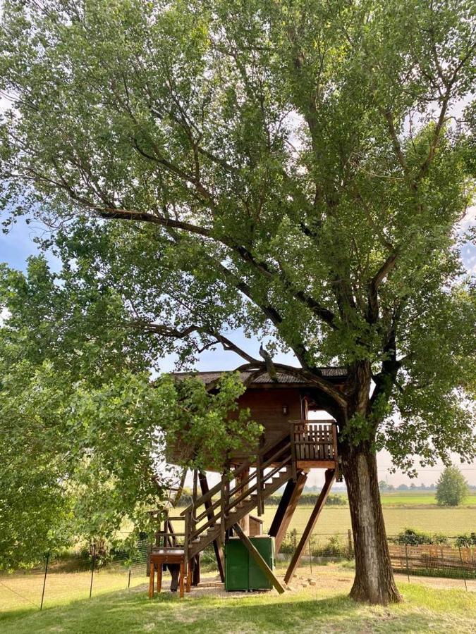 Villa La Casa Sull'Albero Oasi Certosa Di Pavia à Borgarello Extérieur photo