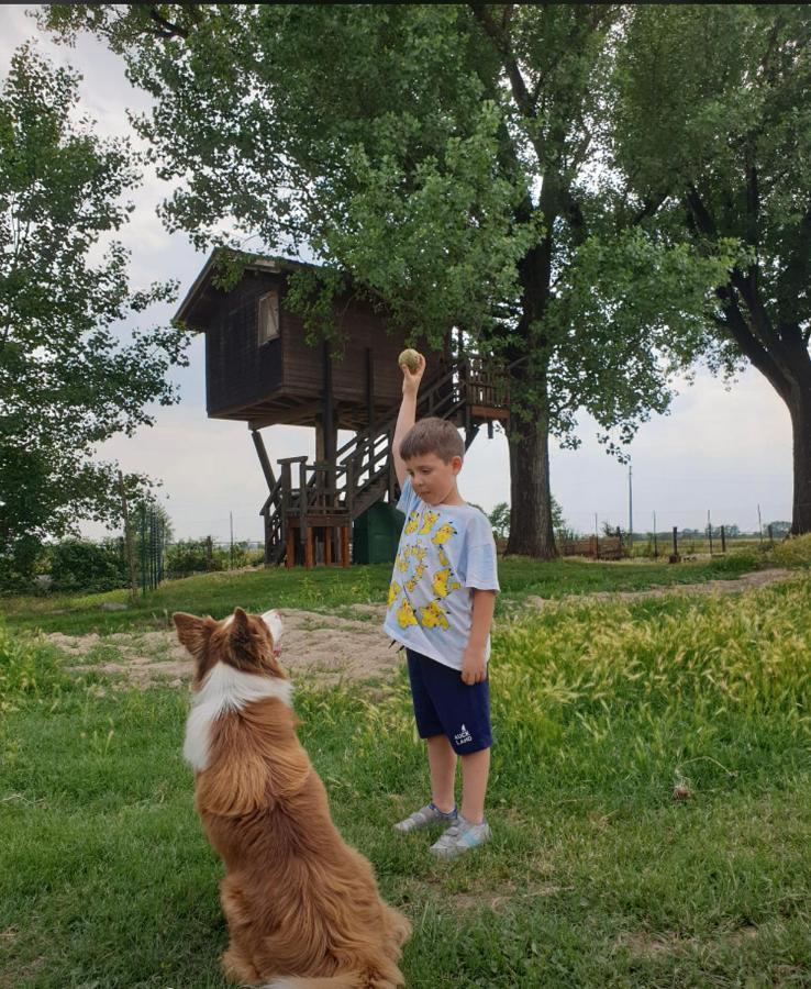 Villa La Casa Sull'Albero Oasi Certosa Di Pavia à Borgarello Extérieur photo