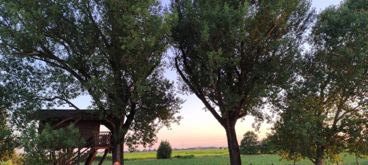 Villa La Casa Sull'Albero Oasi Certosa Di Pavia à Borgarello Extérieur photo