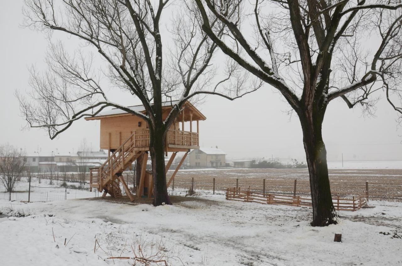 Villa La Casa Sull'Albero Oasi Certosa Di Pavia à Borgarello Extérieur photo