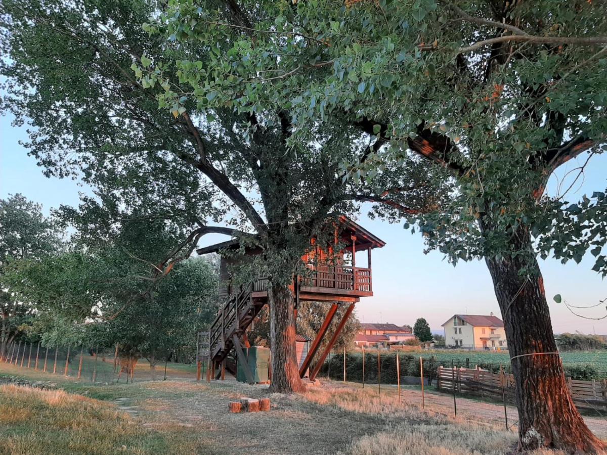 Villa La Casa Sull'Albero Oasi Certosa Di Pavia à Borgarello Extérieur photo