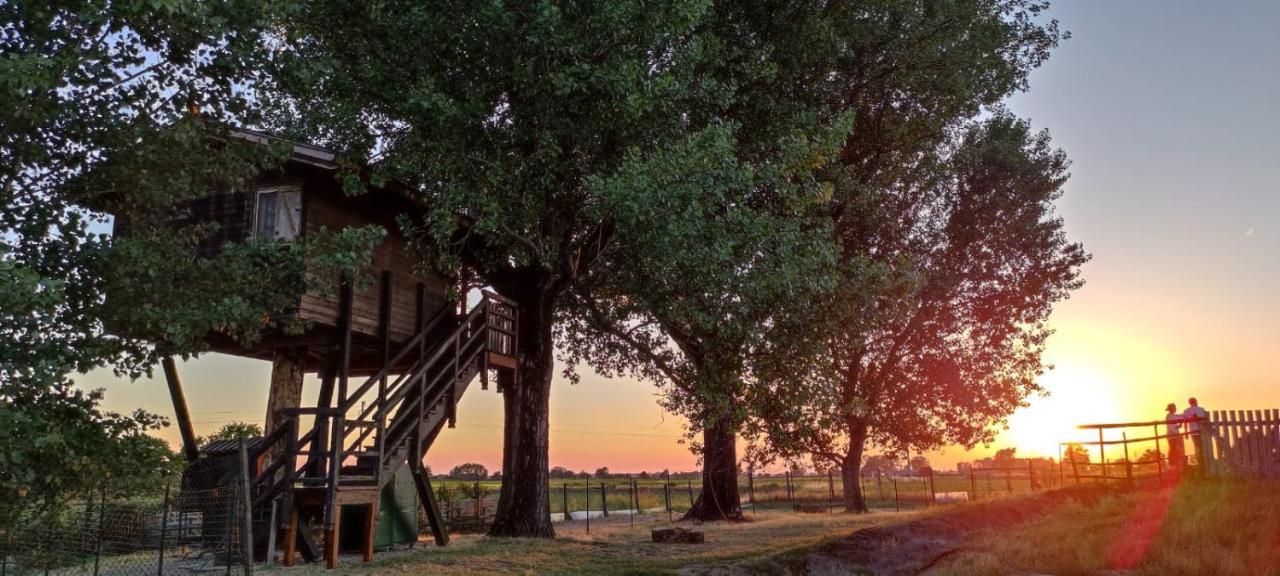 Villa La Casa Sull'Albero Oasi Certosa Di Pavia à Borgarello Extérieur photo